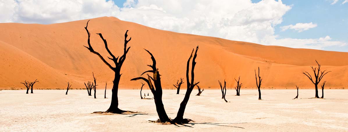 Explore Sossusvlei during a Luxury Safari in Namibia